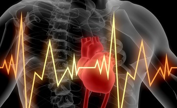 Seminarium: Diagnostyka inwazyjna, CT, MRI i echo 3D w wadach serca